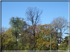 foto Giardini di Porta Venezia